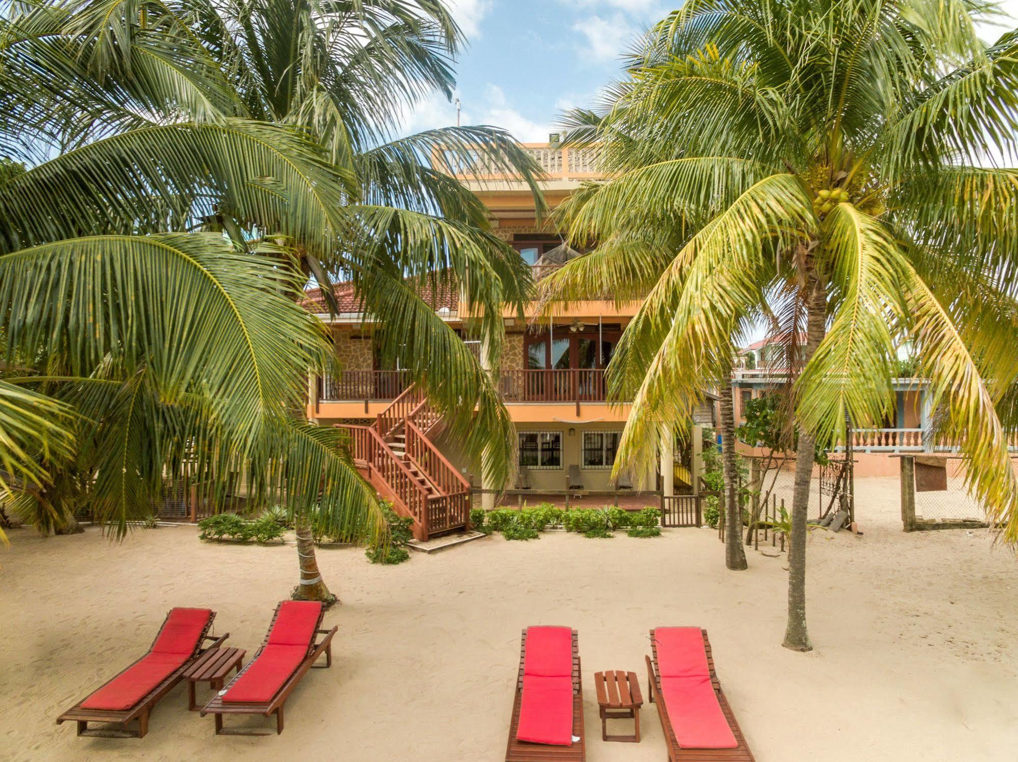 Buttonwood Belize Hotel ฮอปกินส์ ภายนอก รูปภาพ
